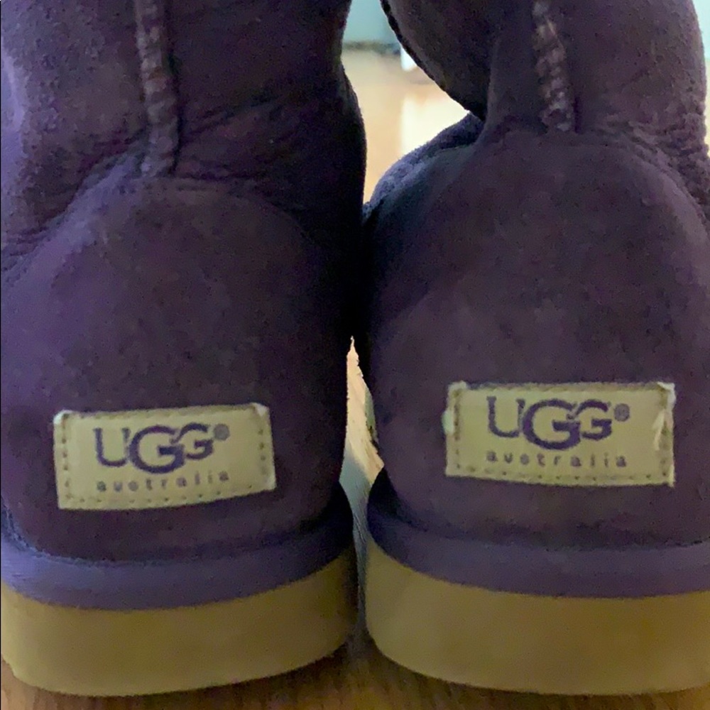COPY - Women’s purple Ugg’s